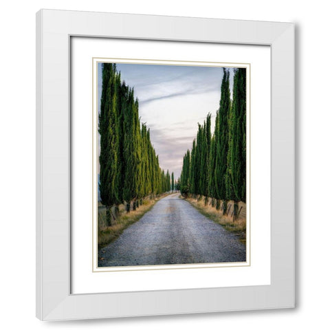 Cypresses White Modern Wood Framed Art Print with Double Matting by Kostka, Vladimir