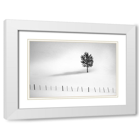 Tree And Fence Bw White Modern Wood Framed Art Print with Double Matting by Kostka, Vladimir