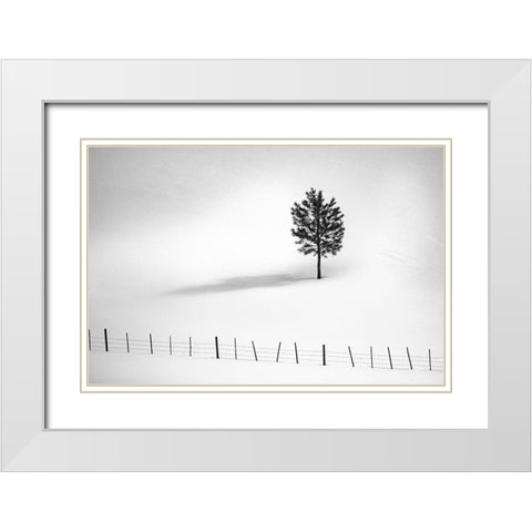 Tree And Fence Bw White Modern Wood Framed Art Print with Double Matting by Kostka, Vladimir