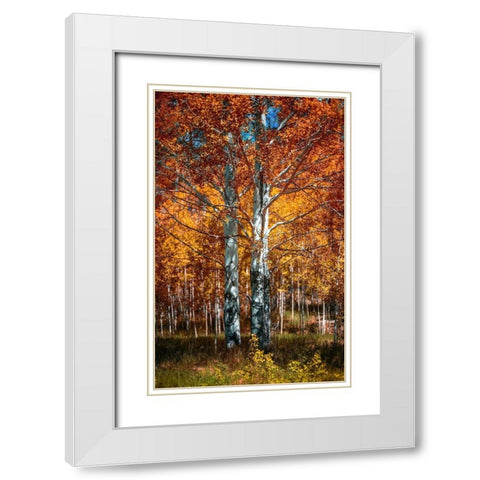 Autum White Modern Wood Framed Art Print with Double Matting by Kostka, Vladimir