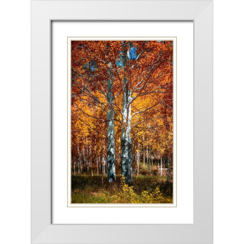 Autum White Modern Wood Framed Art Print with Double Matting by Kostka, Vladimir