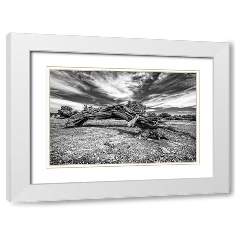 Bw Wood White Modern Wood Framed Art Print with Double Matting by Kostka, Vladimir