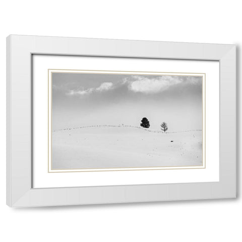 Lonely Trees White Modern Wood Framed Art Print with Double Matting by Kostka, Vladimir
