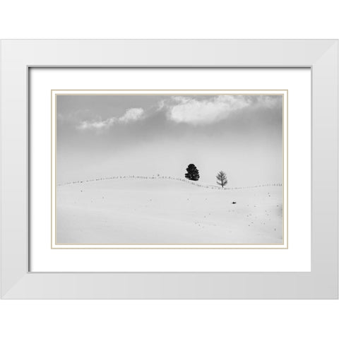 Lonely Trees White Modern Wood Framed Art Print with Double Matting by Kostka, Vladimir