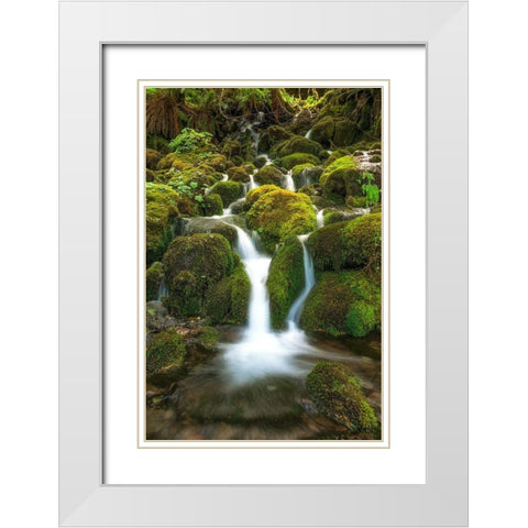 Waterfall I White Modern Wood Framed Art Print with Double Matting by Kostka, Vladimir