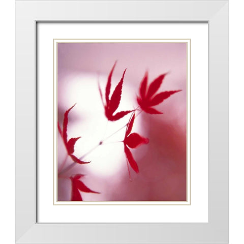 Arrangement Of The Leaves I White Modern Wood Framed Art Print with Double Matting by Weissing, Gerd
