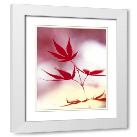 Arrangement Of The Leaves II White Modern Wood Framed Art Print with Double Matting by Weissing, Gerd