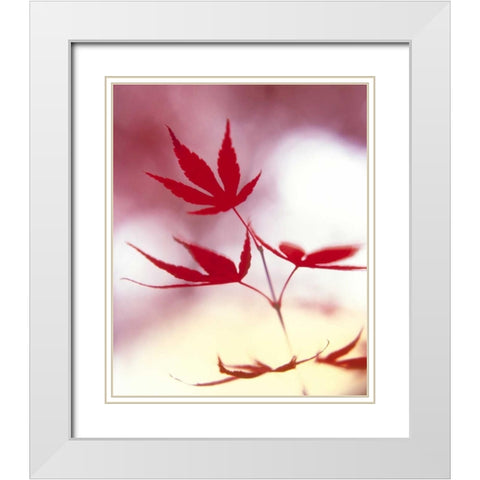 Arrangement Of The Leaves II White Modern Wood Framed Art Print with Double Matting by Weissing, Gerd