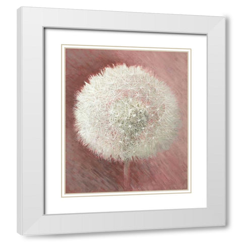 Dandelion Clock I White Modern Wood Framed Art Print with Double Matting by Verdonck, Elisabeth