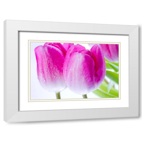 Pink II White Modern Wood Framed Art Print with Double Matting by Warminski