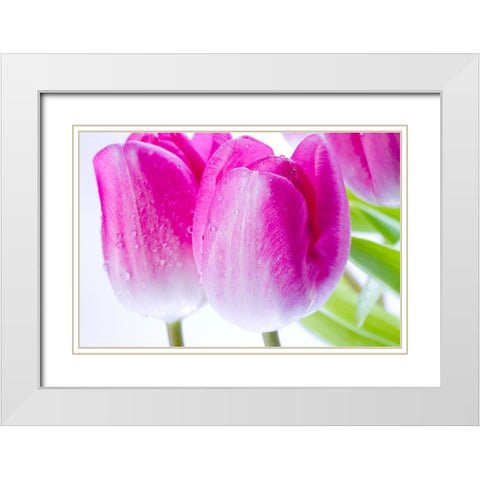 Pink II White Modern Wood Framed Art Print with Double Matting by Warminski