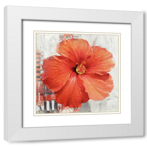 Hibiscus II White Modern Wood Framed Art Print with Double Matting by Sestillo, Enrico