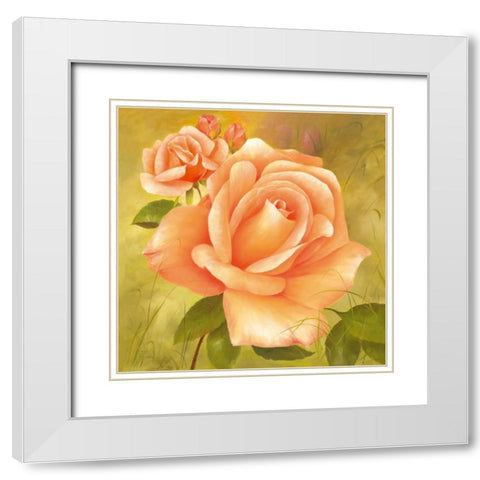 Splendour White Modern Wood Framed Art Print with Double Matting by Fasani