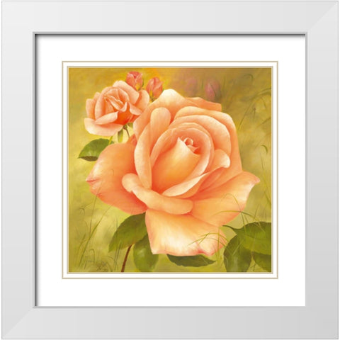 Splendour White Modern Wood Framed Art Print with Double Matting by Fasani
