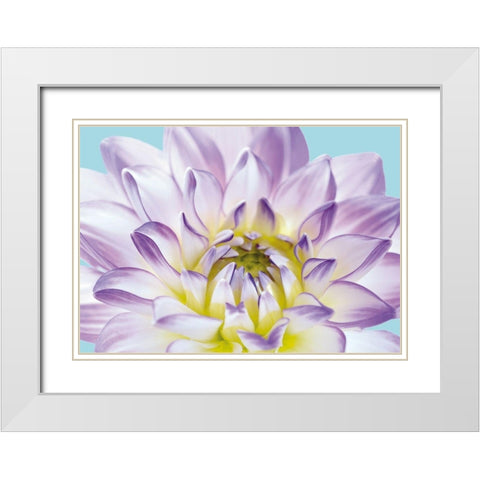 DAHLIA IN TEAL I White Modern Wood Framed Art Print with Double Matting by Fossey, George
