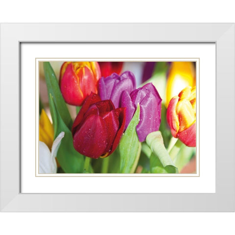 NATURAL TULIPS White Modern Wood Framed Art Print with Double Matting by Witt, Sibylle