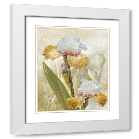 VANILLA IRIS II White Modern Wood Framed Art Print with Double Matting by Sestillo, Enrico