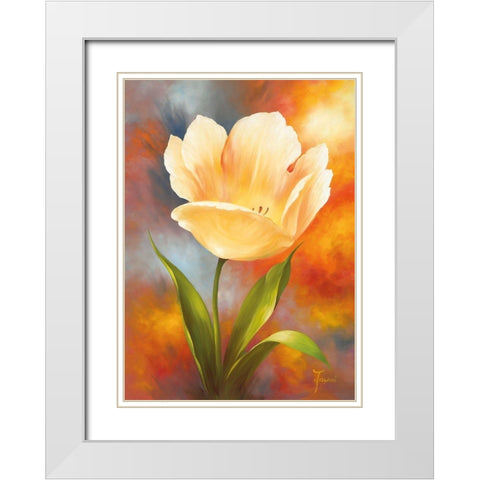 GOLDEN TULIP White Modern Wood Framed Art Print with Double Matting by Fasani