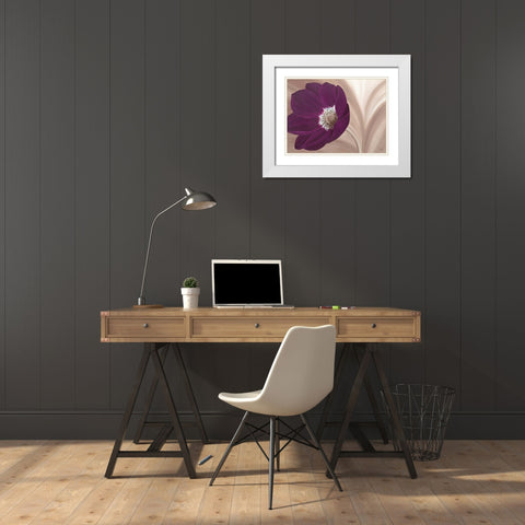 Velvet Anemone White Modern Wood Framed Art Print with Double Matting by Lake, Kaye