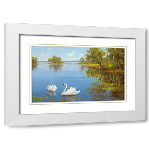 SWANS ON THE LAKE White Modern Wood Framed Art Print with Double Matting by Slava
