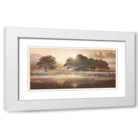 RURAL STUDY II White Modern Wood Framed Art Print with Double Matting by Walsh, Peter