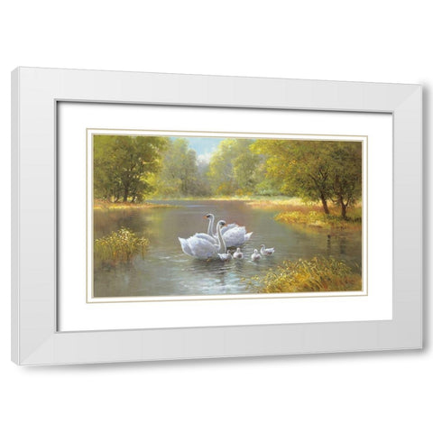 SWAN FAMILY White Modern Wood Framed Art Print with Double Matting by Weber, Max