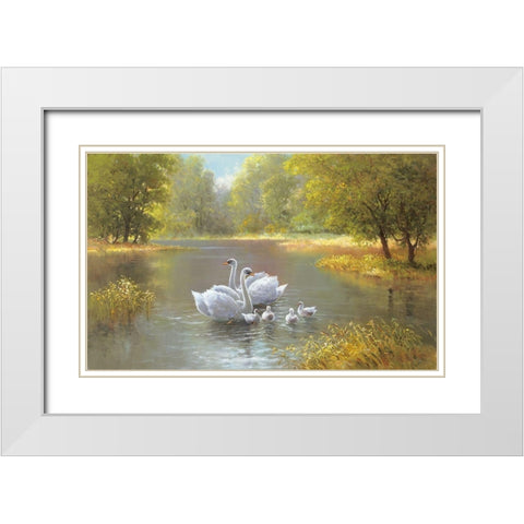 SWAN FAMILY White Modern Wood Framed Art Print with Double Matting by Weber, Max