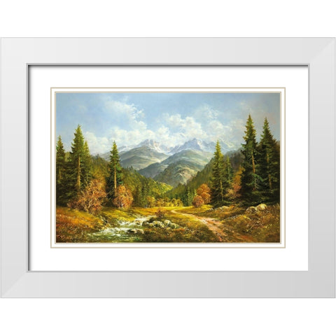 BROOK IN THE MOUNTAINS White Modern Wood Framed Art Print with Double Matting by Glassl, Helmut