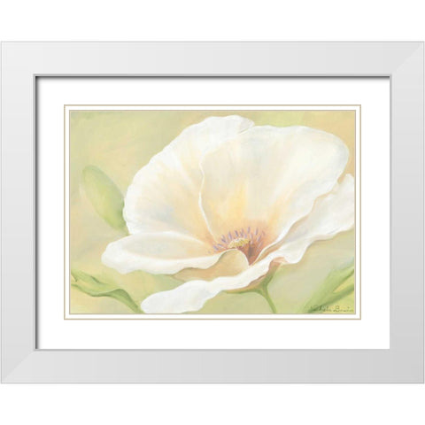 White flower I White Modern Wood Framed Art Print with Double Matting by Boucher, Nathalie