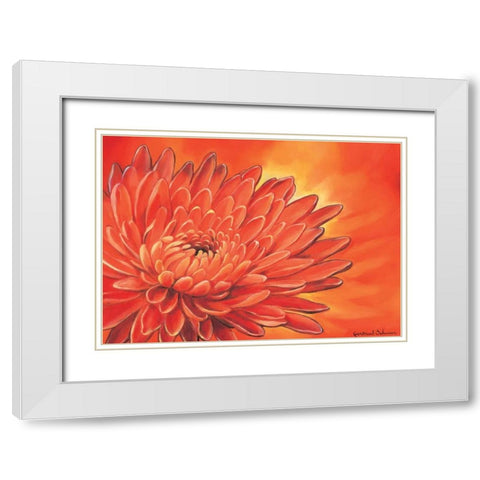 Red flower I White Modern Wood Framed Art Print with Double Matting by Schweser, Gertrud