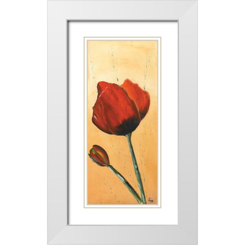 Red III White Modern Wood Framed Art Print with Double Matting by Leny