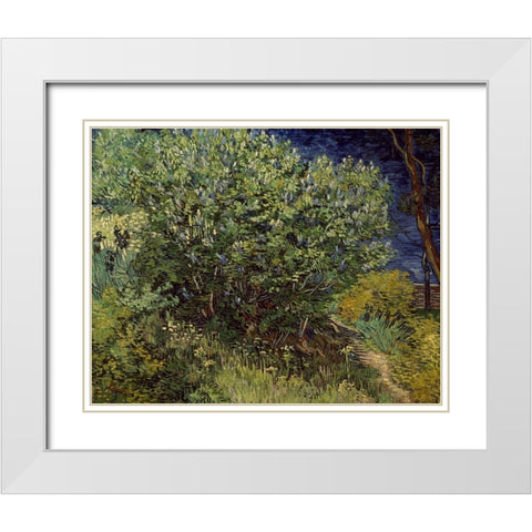Lilac Bush, 1889 White Modern Wood Framed Art Print with Double Matting by Van Gogh, Vincent
