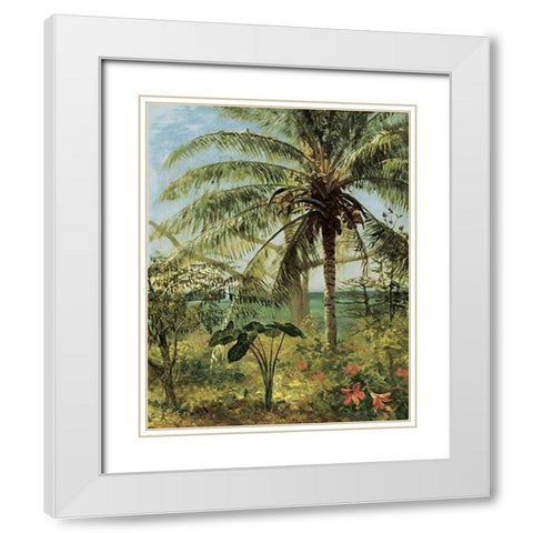 Palm Tree, Nassau 1892 White Modern Wood Framed Art Print with Double Matting by Bierstadt, Albert