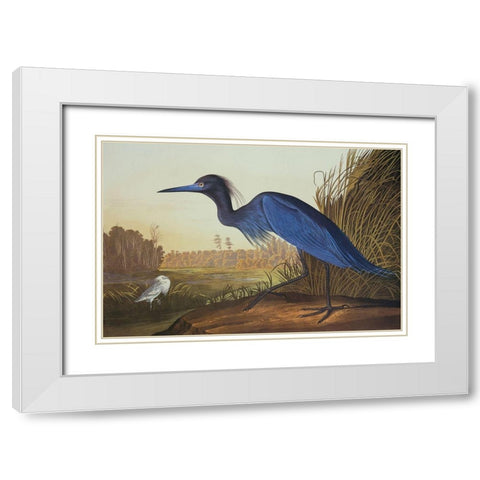 Blue Crane Or Heron White Modern Wood Framed Art Print with Double Matting by Audubon, John James