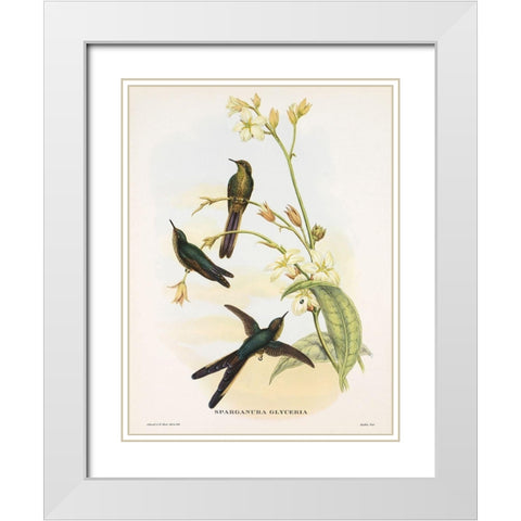 Sparganura Glyceria White Modern Wood Framed Art Print with Double Matting by Ashley, Aaron