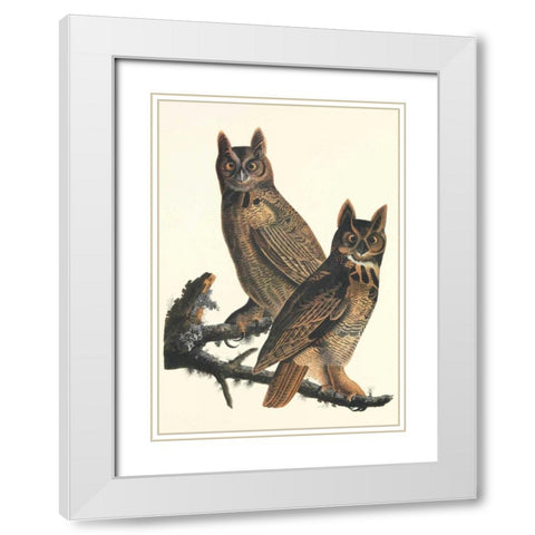 Great Horned Owl White Modern Wood Framed Art Print with Double Matting by Audubon, John James