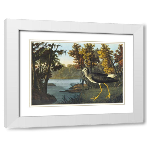 Yellow Shank White Modern Wood Framed Art Print with Double Matting by Audubon, John James