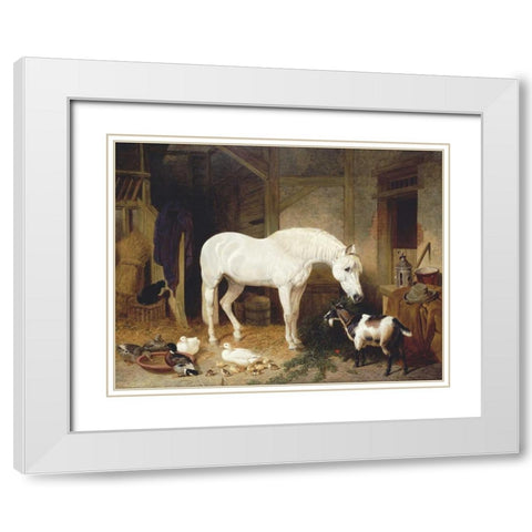 Stable Companions White Modern Wood Framed Art Print with Double Matting by Herring, John Frederick