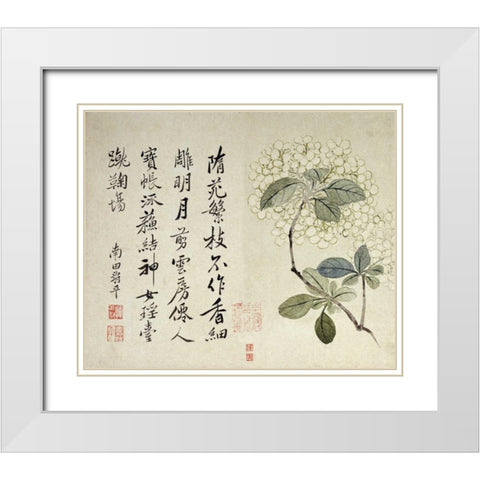 Hydrangeas White Modern Wood Framed Art Print with Double Matting by Shouping, Yun