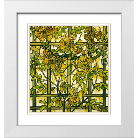 Trumpet Vine White Modern Wood Framed Art Print with Double Matting by Tiffany Studios