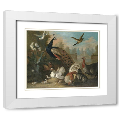 A Peacock and Other Birds White Modern Wood Framed Art Print with Double Matting by Craddock, Marmaduke