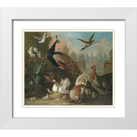 A Peacock and Other Birds White Modern Wood Framed Art Print with Double Matting by Craddock, Marmaduke