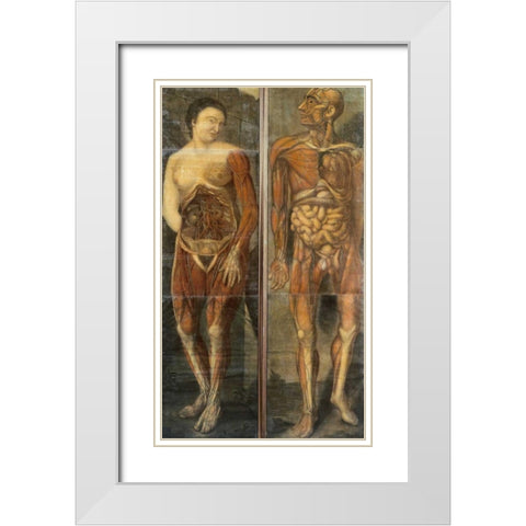 Anatomical Drawings of Male and Female Figures White Modern Wood Framed Art Print with Double Matting by Dagoty, Jacques Fabian Gautier