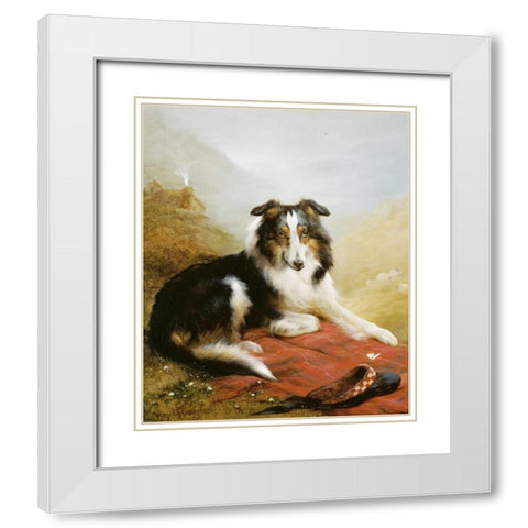 A Collie, The Guardian of The Flock White Modern Wood Framed Art Print with Double Matting by Douglas, Edwin
