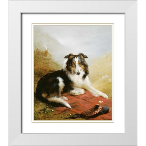 A Collie, The Guardian of The Flock White Modern Wood Framed Art Print with Double Matting by Douglas, Edwin
