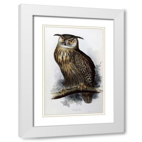 Eagle Owl White Modern Wood Framed Art Print with Double Matting by Glover, John