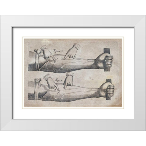 Discovery of The Circulation of Blood White Modern Wood Framed Art Print with Double Matting by Harvey, William