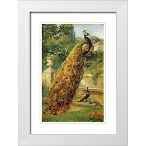Peacocks In The Park White Modern Wood Framed Art Print with Double Matting by Hermansen, Olaf August