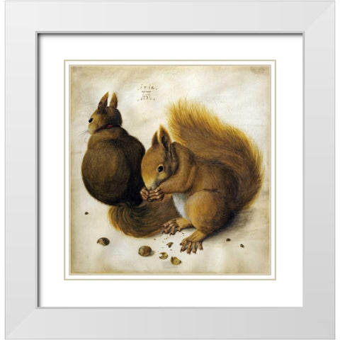 Two Squirrels, One Eating a Hazelnut White Modern Wood Framed Art Print with Double Matting by Durer, Albrecht