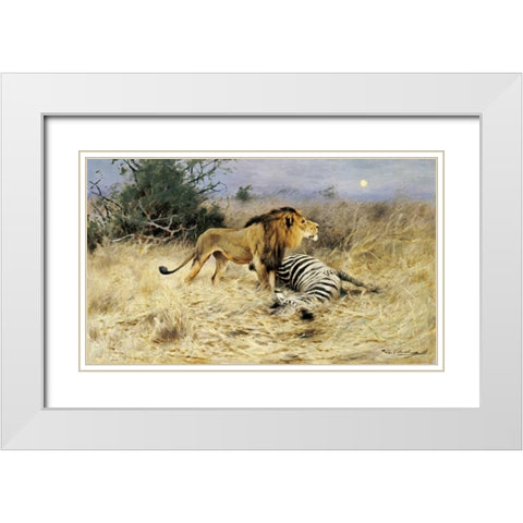 A Lion With His Prey White Modern Wood Framed Art Print with Double Matting by Kuhnert, Wilhelm